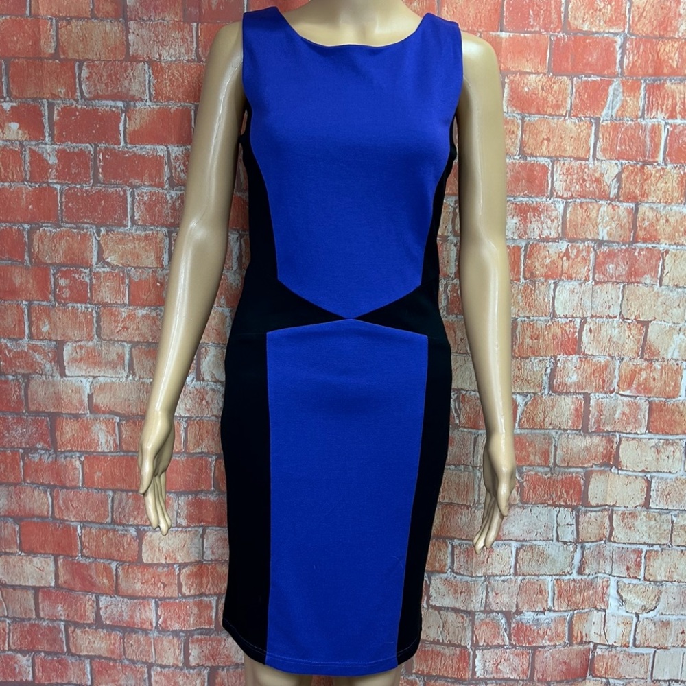 Venus‎ Colorblock Bodycon Sheath Dress
